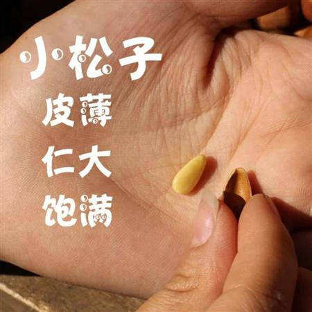 红松子500g *袋