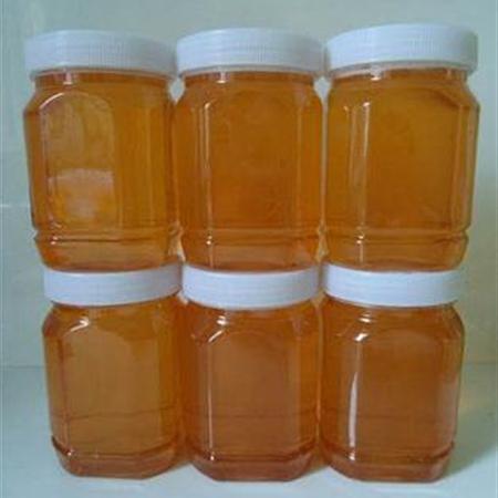 土蜂蜜1000g*瓶