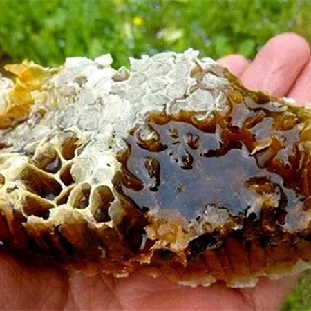 纯天然农家自产野生土蜂蜜1000g*瓶